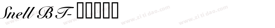 Snell BT字体转换